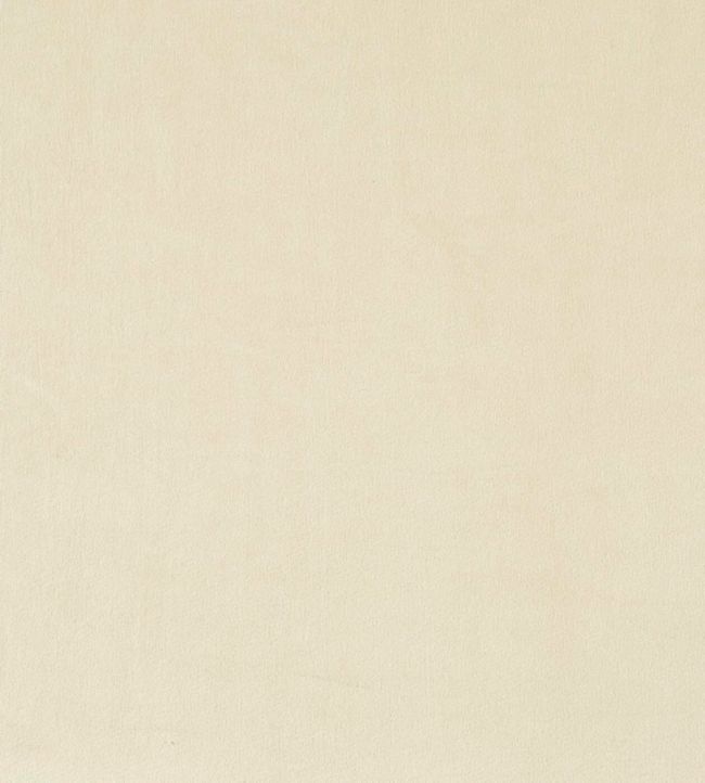 Belgravia Fabric by Prestigious Textiles Canvas