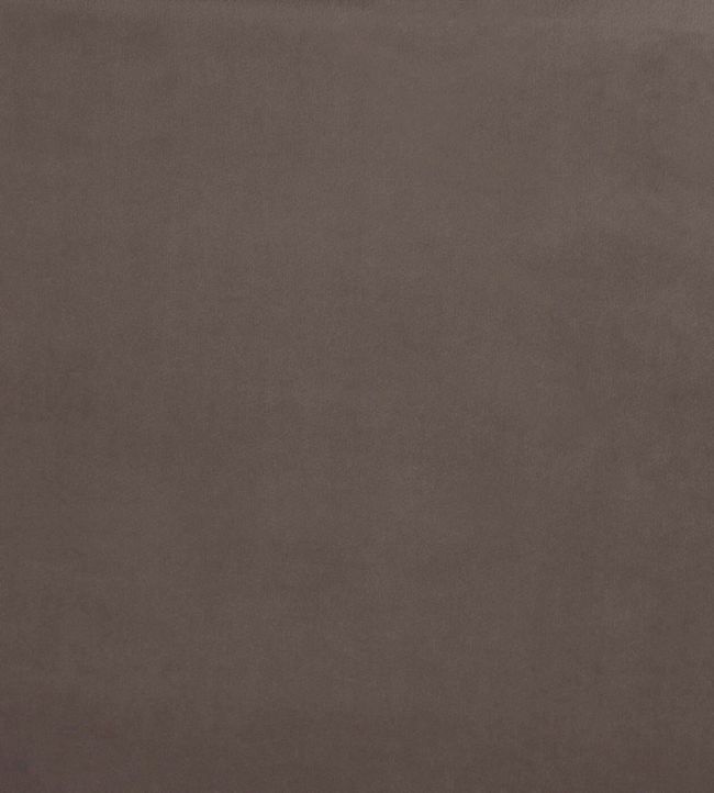 Belgravia Fabric by Prestigious Textiles Mole