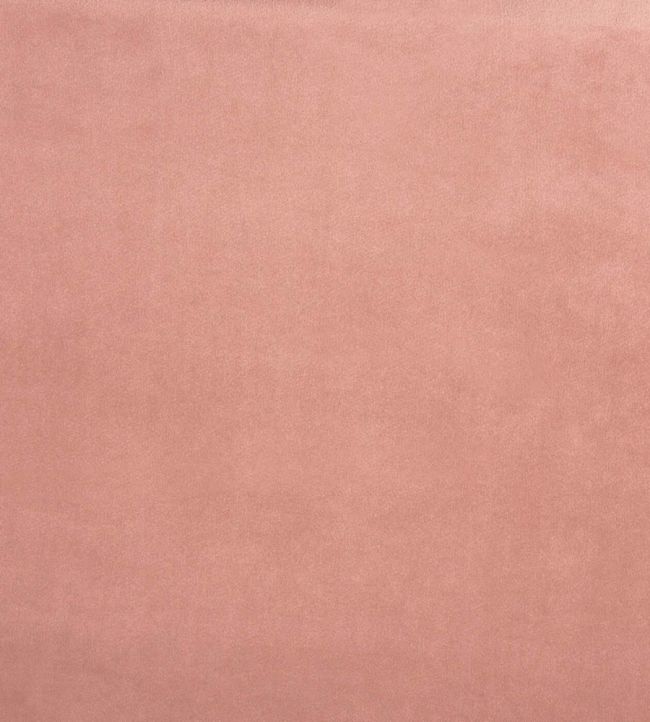 Belgravia Fabric by Prestigious Textiles Petal