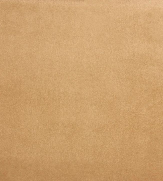 Belgravia Fabric by Prestigious Textiles Corn