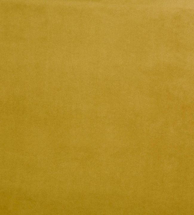 Belgravia Fabric by Prestigious Textiles Zest