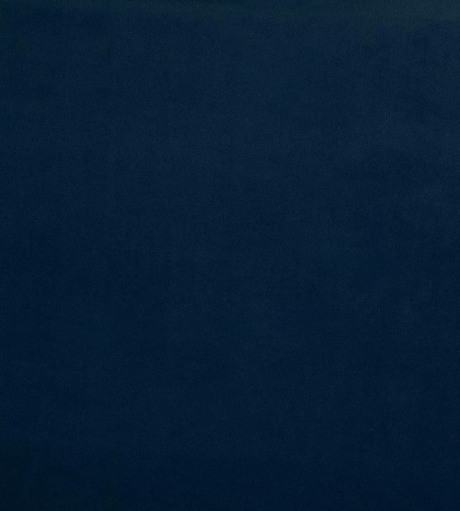 Belgravia Fabric by Prestigious Textiles Royal