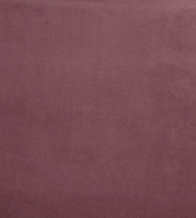 Belgravia Fabric by Prestigious Textiles Dusk