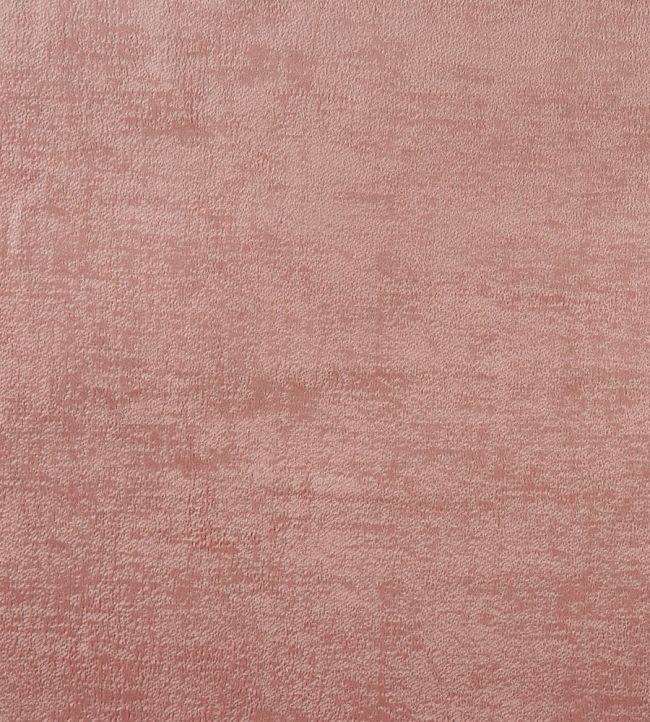 Soho Fabric by Prestigious Textiles Petal
