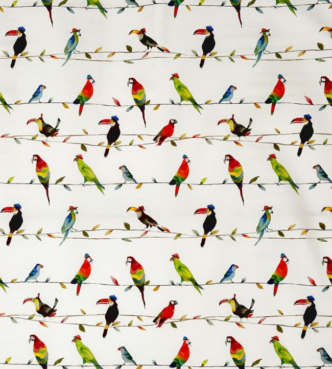 Toucan Talk Fabric by Prestigious Textiles Paintbox