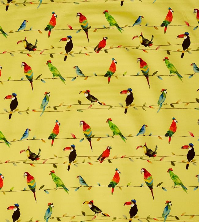Toucan Talk Fabric by Prestigious Textiles Zest