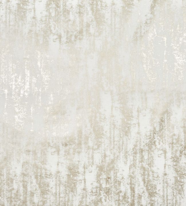 Caesar Fabric by Prestigious Textiles Coin