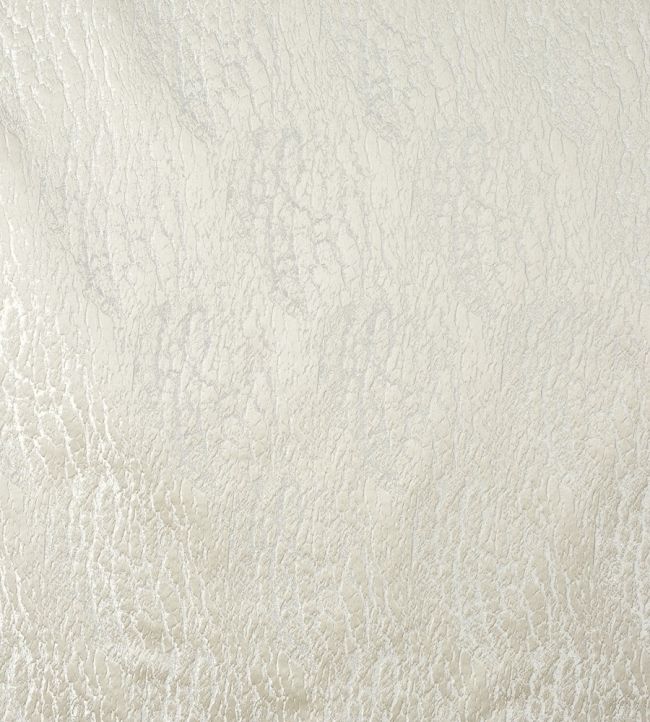 Hamlet Fabric by Prestigious Textiles Coin