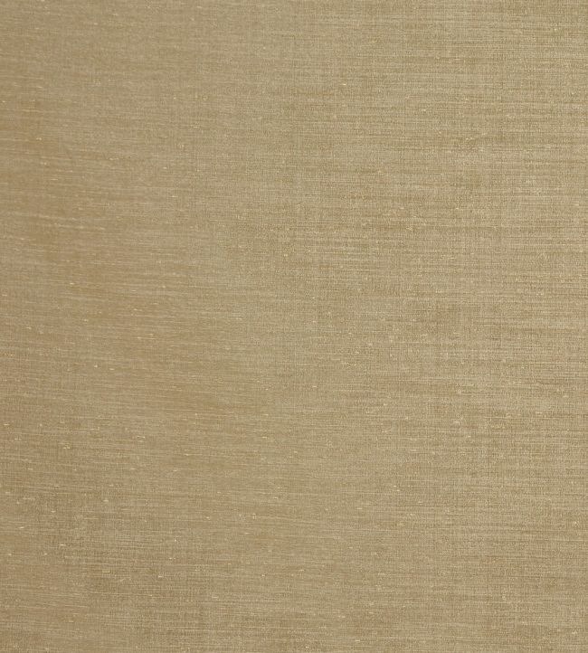 Tussah Fabric by Prestigious Textiles Bronze