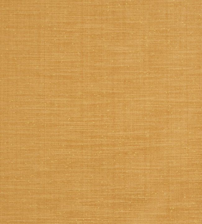 Tussah Fabric by Prestigious Textiles Sienna