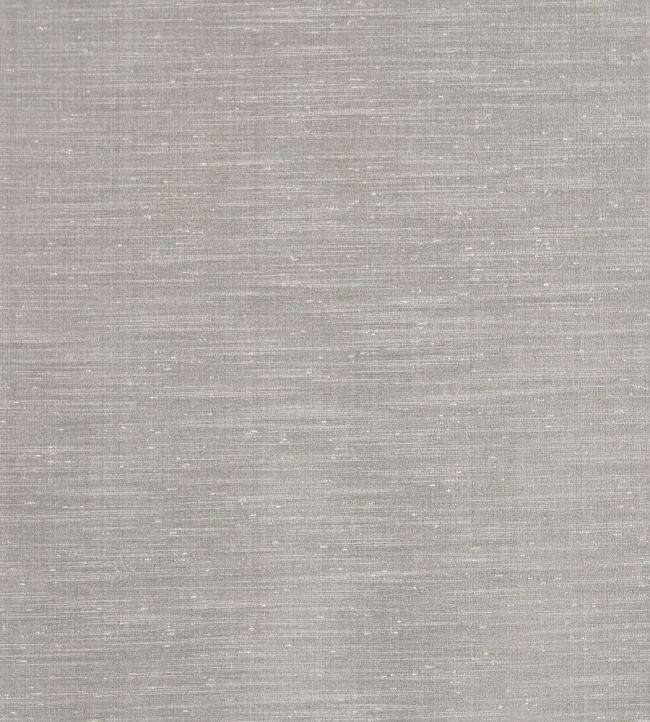 Tussah Fabric by Prestigious Textiles Carbon