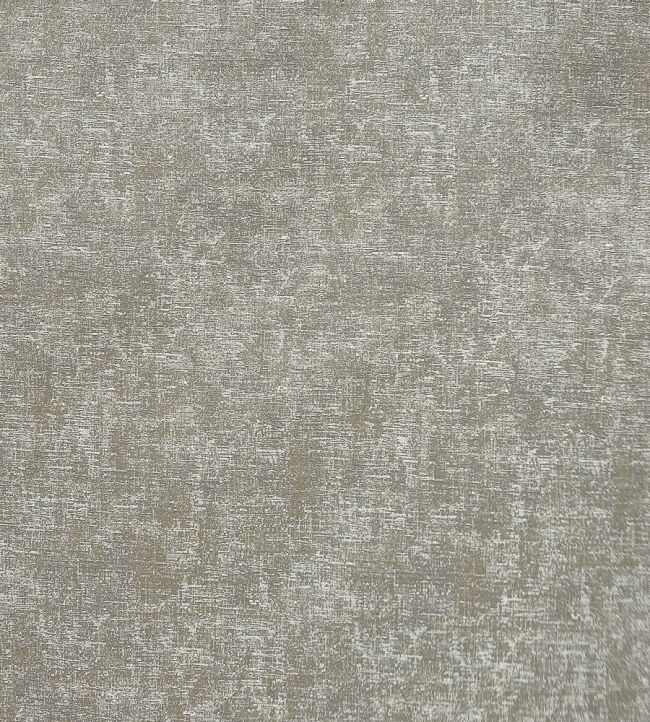 Arcadia Fabric by Prestigious Textiles Vellum