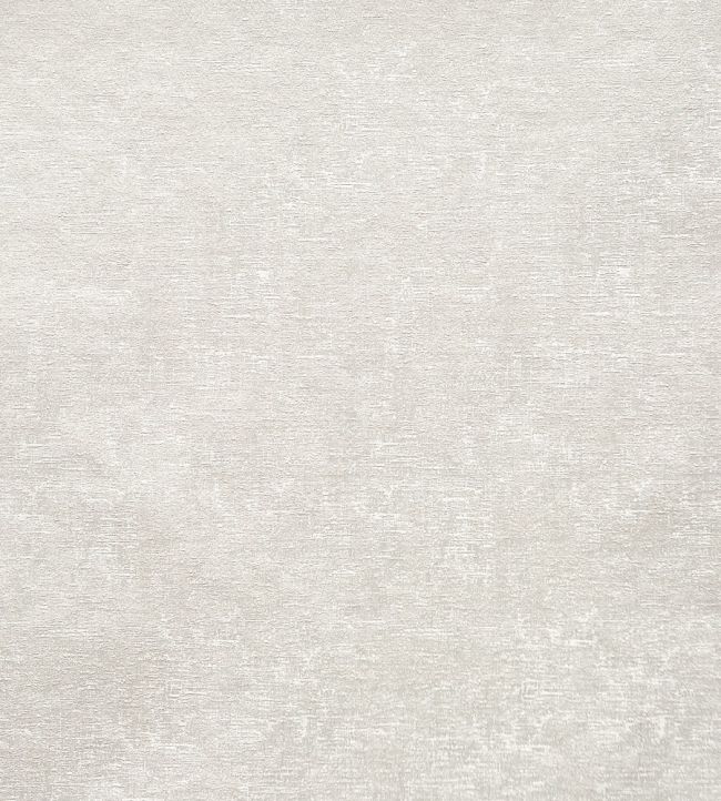 Arcadia Fabric by Prestigious Textiles Alabaster