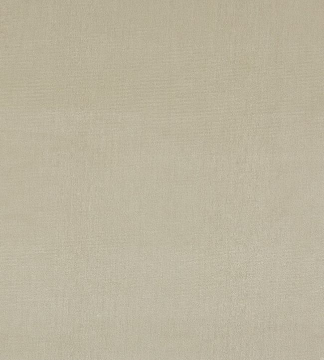 Velour Fabric by Prestigious Textiles Ivory