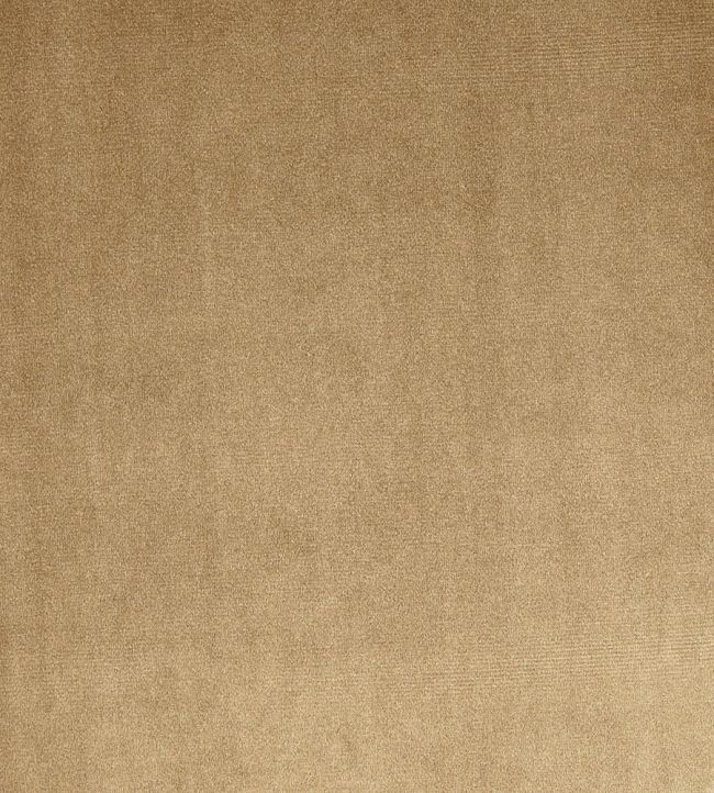 Velour Fabric by Prestigious Textiles Mink