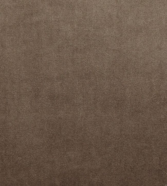 Velour Fabric by Prestigious Textiles Camel