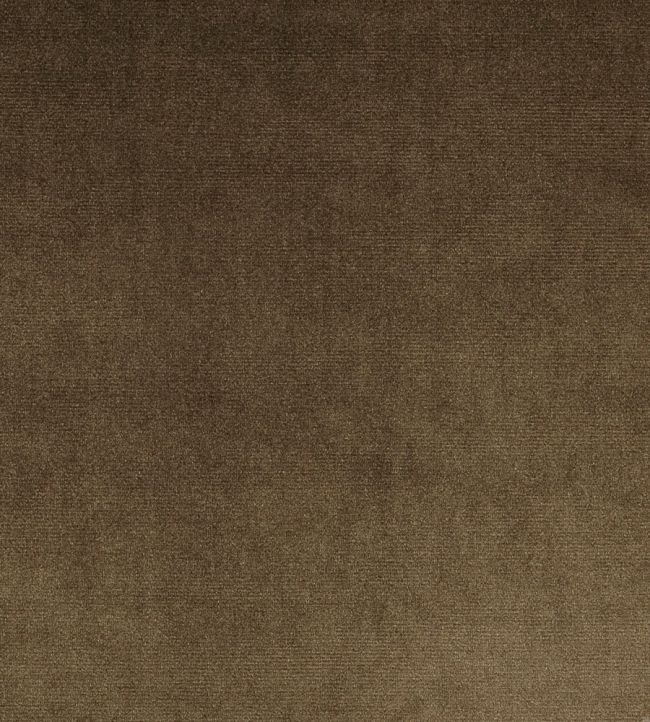 Velour Fabric by Prestigious Textiles Walnut