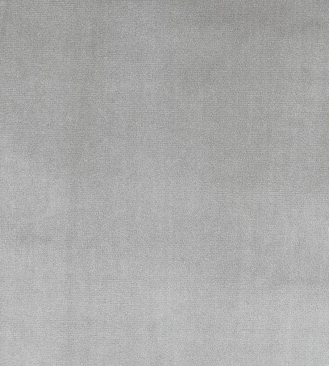 Velour Fabric by Prestigious Textiles Mole