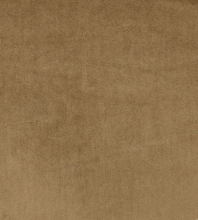 Velour Fabric by Prestigious Textiles Cocoa