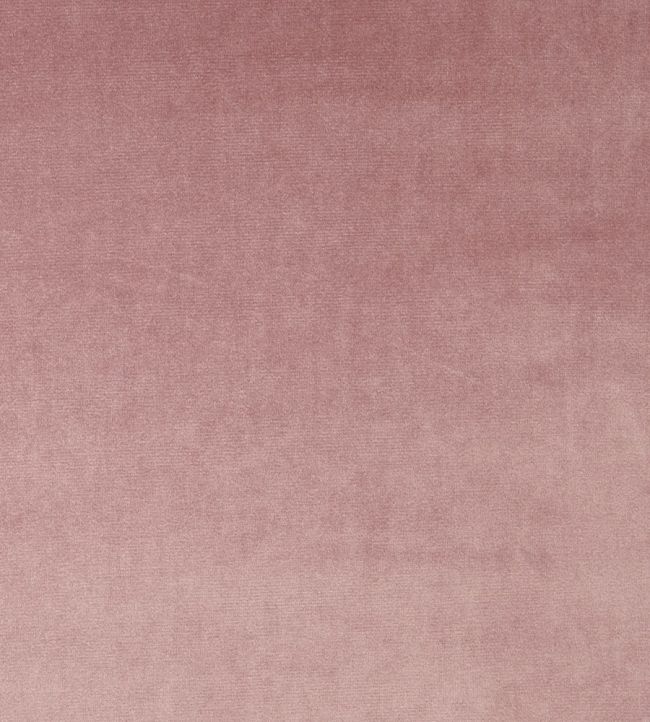 Velour Fabric by Prestigious Textiles Petal