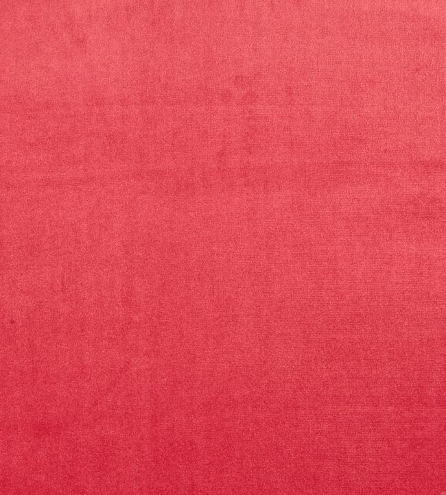Velour Fabric by Prestigious Textiles Fuchsia