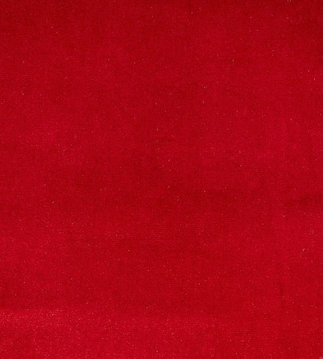 Velour Fabric by Prestigious Textiles Claret