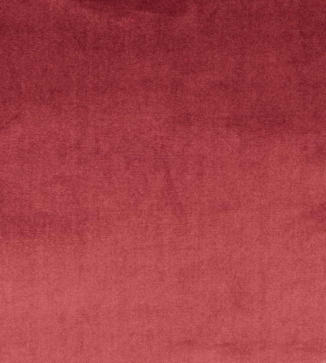 Velour Fabric by Prestigious Textiles Damson