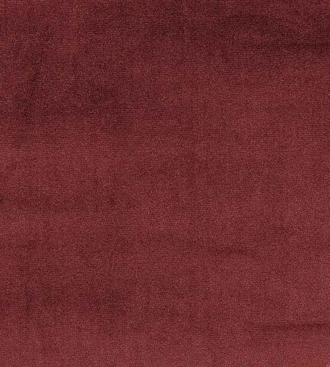 Velour Fabric by Prestigious Textiles Bordeaux