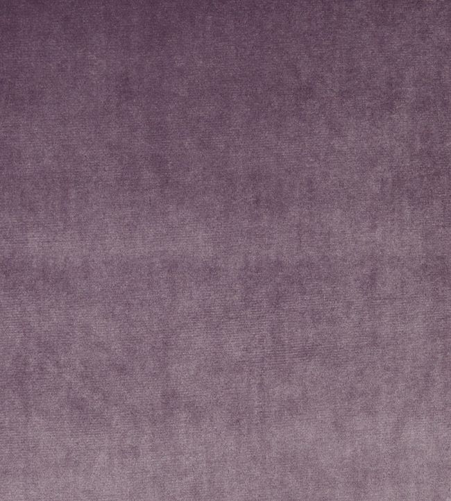 Velour Fabric by Prestigious Textiles Mulberry