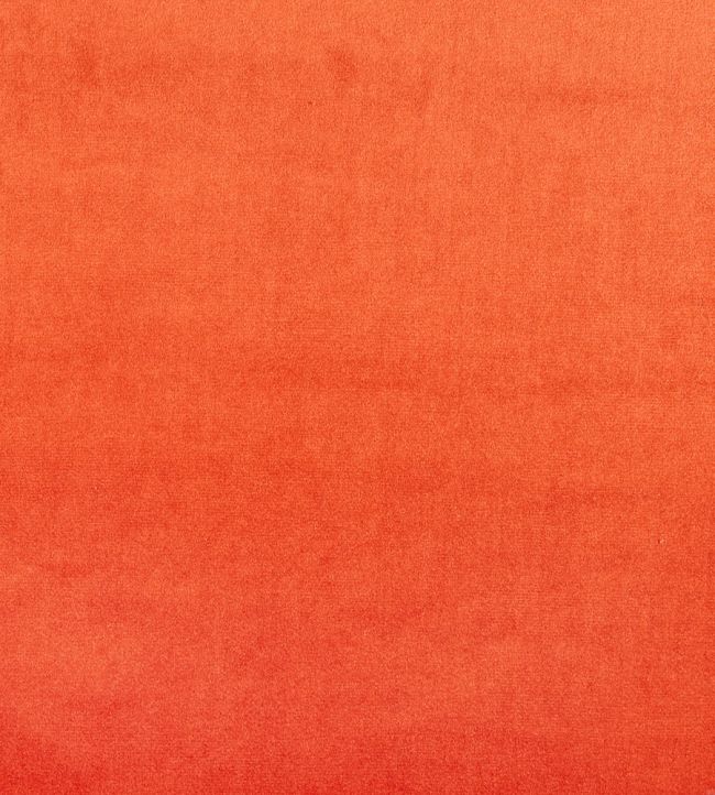 Velour Fabric by Prestigious Textiles Tango