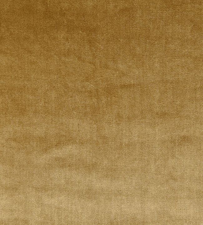 Velour Fabric by Prestigious Textiles Gold
