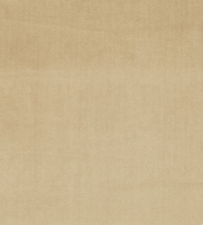 Velour Fabric by Prestigious Textiles Sandstone