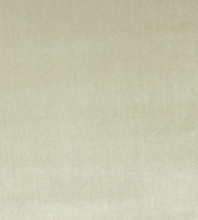 Velour Fabric by Prestigious Textiles Stone