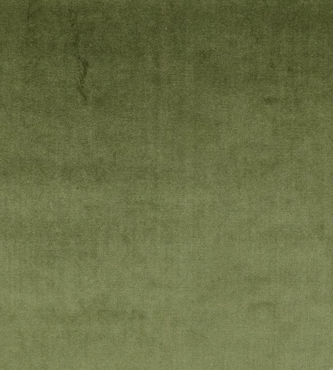Velour Fabric by Prestigious Textiles Hunter