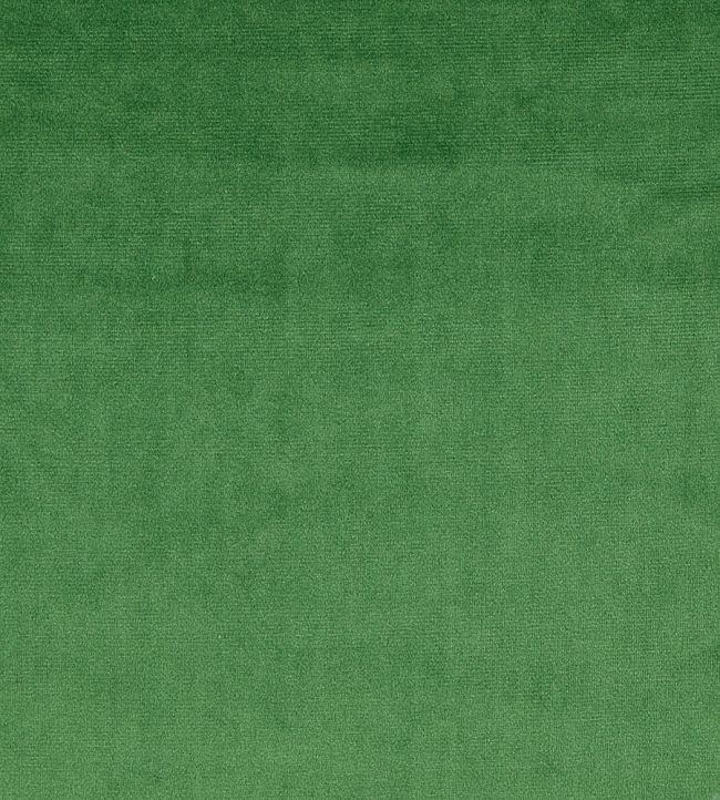 Velour Fabric by Prestigious Textiles Jade