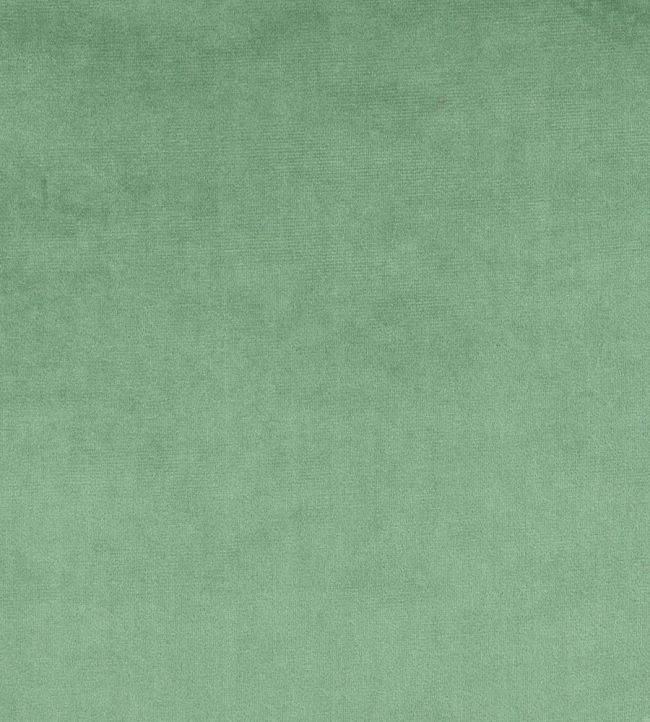 Velour Fabric by Prestigious Textiles Reseda