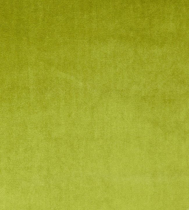 Velour Fabric by Prestigious Textiles Grass