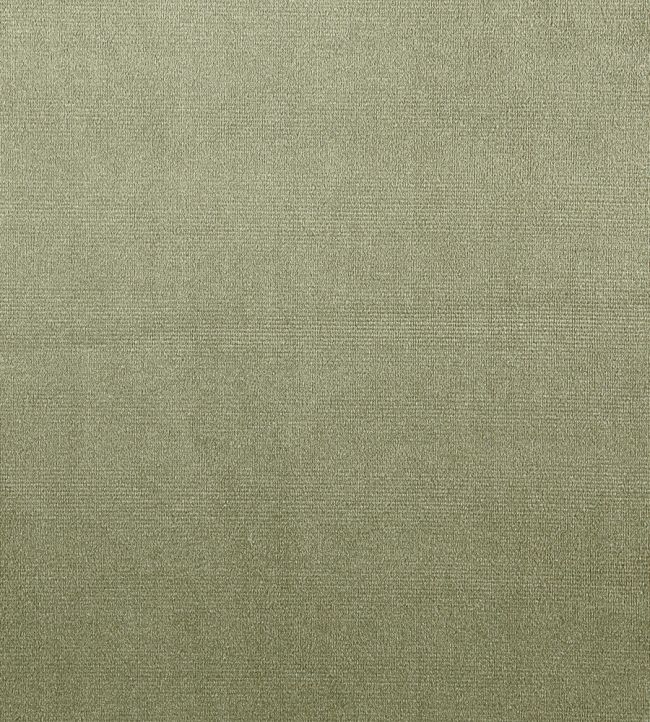 Velour Fabric by Prestigious Textiles Willow