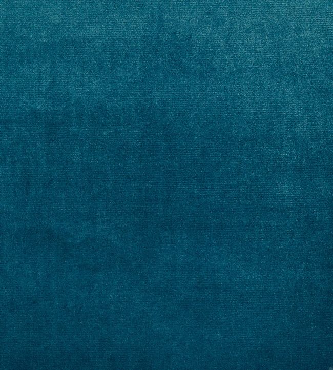 Velour Fabric by Prestigious Textiles Indigo