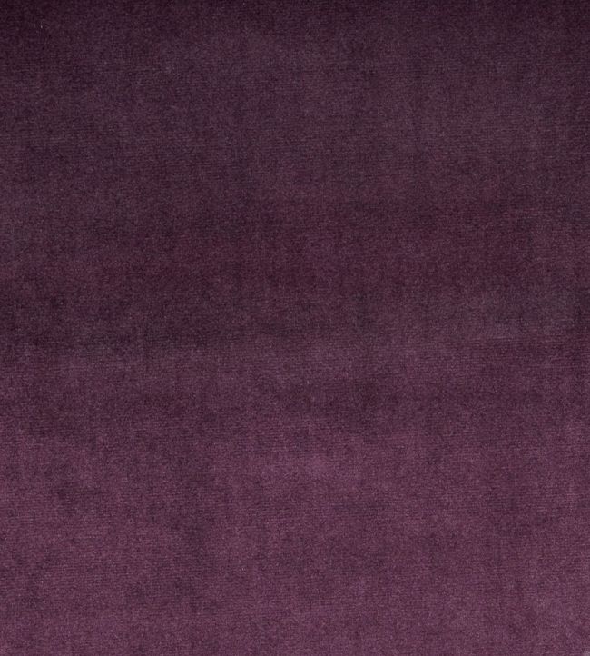 Velour Fabric by Prestigious Textiles Grape