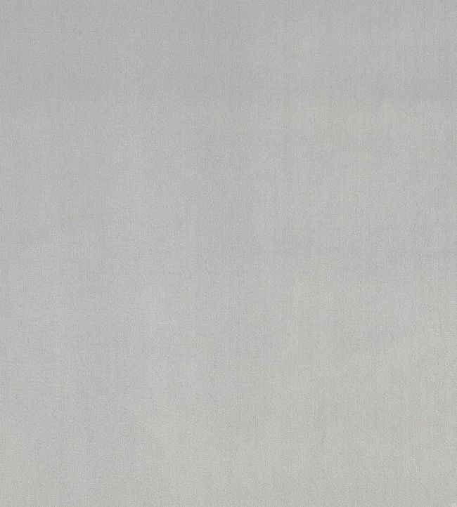Velour Fabric by Prestigious Textiles Silver