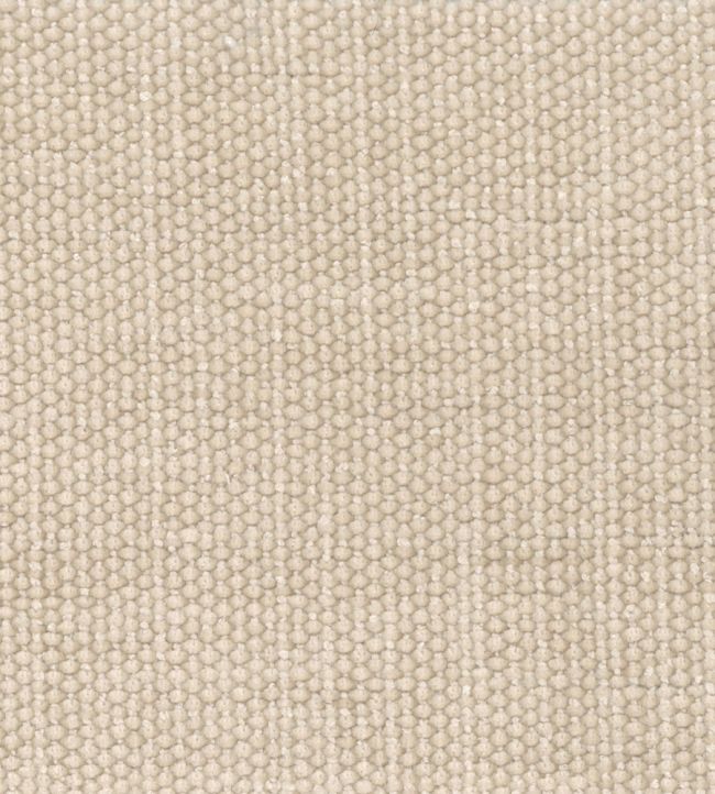 Primrose Fabric by Wemyss Cream