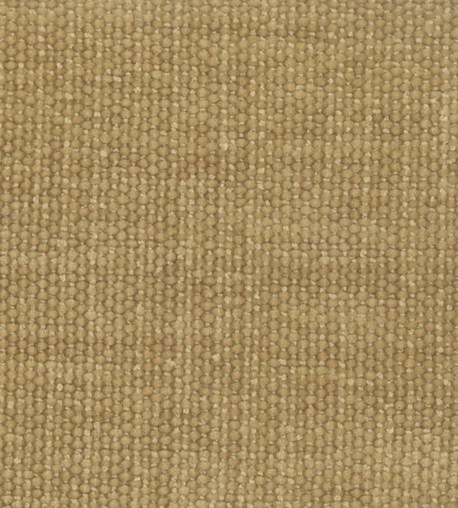 Primrose Fabric by Wemyss Gold