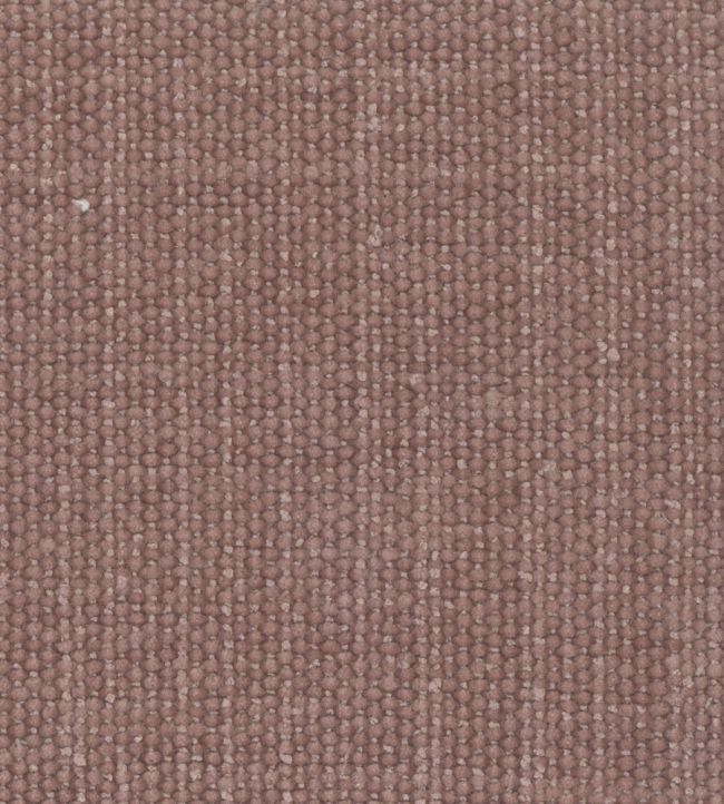 Primrose Fabric by Wemyss Rosewood