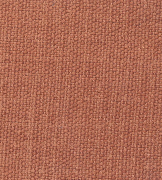 Primrose Fabric by Wemyss Spice