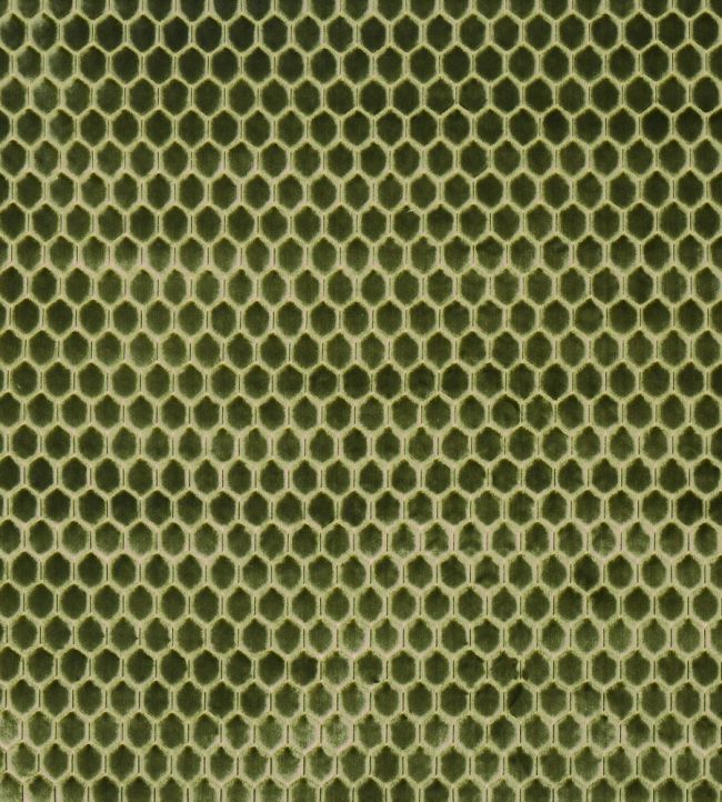 Prism Fabric by Prestigious Textiles Cactus