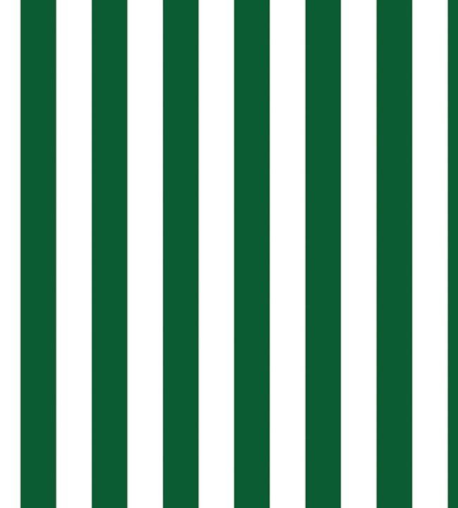 Prisma Wallpaper by Jannelli&Volpi Forest Green