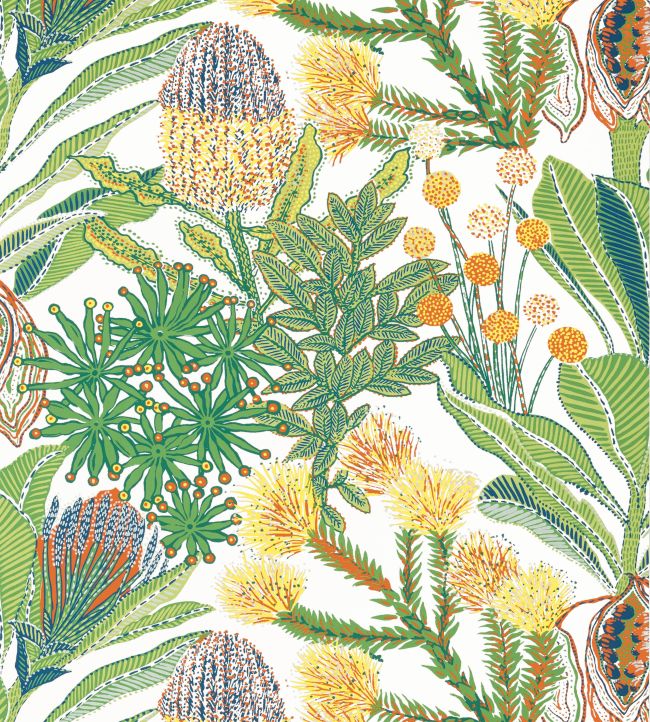 Protea Wallpaper by Thibaut Brights
