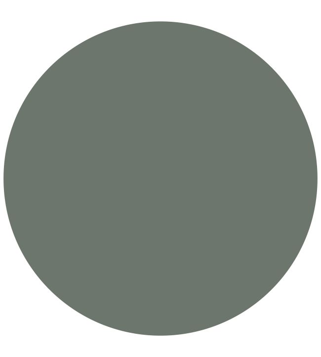Pullman Green 1829 Chalky Emulsion Paint by Craig & Rose Pullman Green