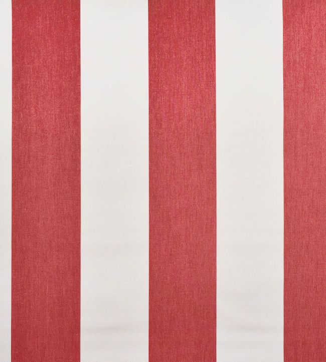 Punch Fabric by Casal Cerise